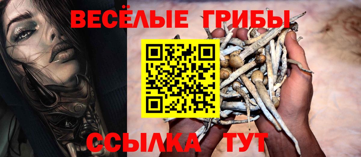Галлюциногенные грибы MAGIC MUSHROOMS Ялта