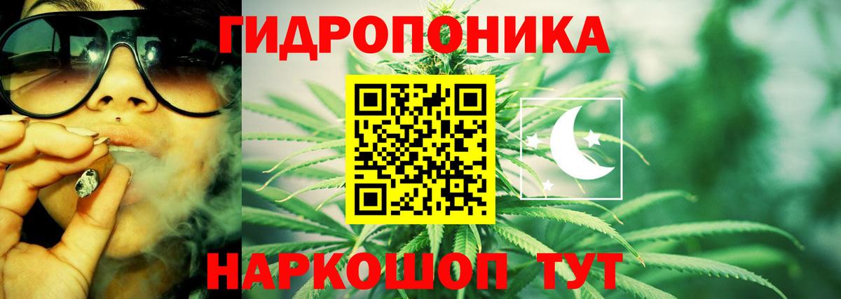 Бошки Шишки планчик Ялта